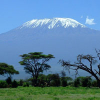 auris-gestion-reprend-la-gestion-du-fonds-kilimandjaro