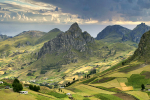 sur-la-biodiversite