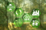 pour-une-economie-decarbonee