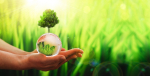 deux-fonds-de-la-financiere-responsable-classes-article-9