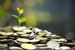 plan-depargne-avenir-climat-quand-lepargne-se-met-au-vert