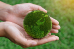 sur-la-biodiversite-2