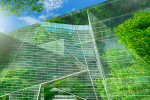 comment-lesg-progresse-dans-un-contexte-immobilier-chahute