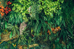 un-fonds-obligataire-dedie-a-la-biodiversite