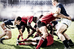 crystal-se-renforce-sur-la-clientele-de-sportifs