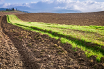 dedie-a-lagriculture-regeneratrice