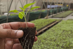 un-fonds-de-nutrition-lance-par-credit-suisse-jp-morgan-am